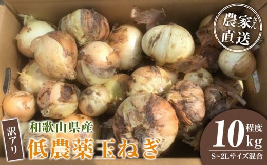 ［2026年発送分・先行予約］訳あり 農家さん直送 低農薬玉ねぎ 10kg程度 S～2L混合［4月中旬～7月中旬頃発送予定］ご家庭用 ※傷有り［KF14］