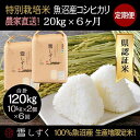 【ふるさと納税】【令和6年産】定期便！農家直送！県認証特別栽培魚沼産コシヒカリ【合計120kg】毎月20kg×6回　定期便・ 精米 ご飯 ブランド米 銘柄米 　お届け：ご入金確認の翌月以降、発送いたします。