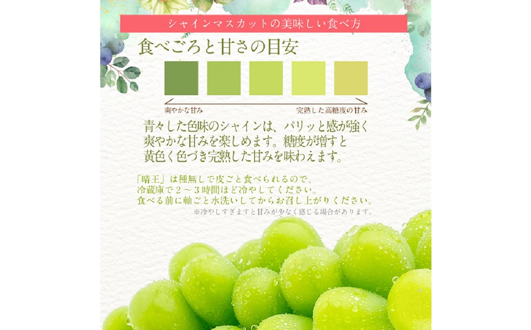 シャインマスカット 晴王 1房 約700g