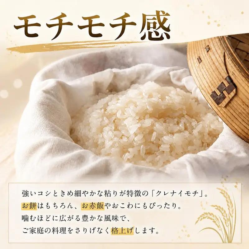 もち米 5kg 令和7年産 【 もち米 】