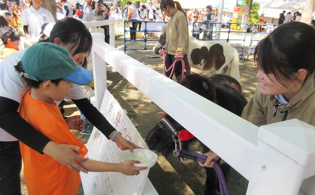 【返礼品なし】 北宇和高校 魅Can部 （馬術部）への応援寄附