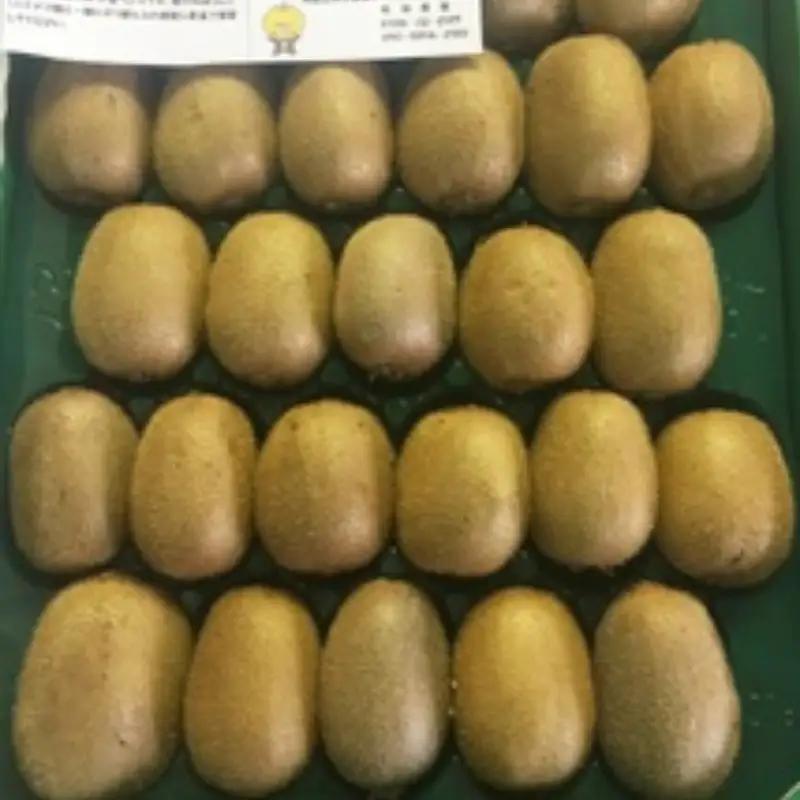キウイ キウイフルーツ(約3,5kg)【2026年11月下旬〜12月上旬発送】【A019-frks012】
