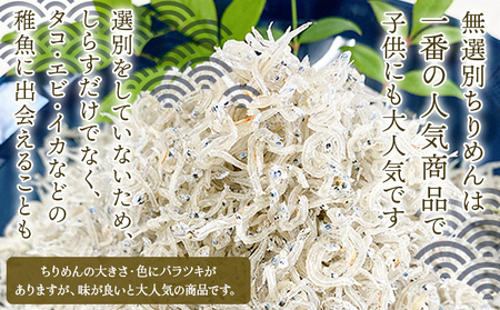 ＜井上のちりめん 無選別 合計約360g（180g入り×2袋）6回定期便＞ ちりめんじゃこ タコ エビ イカ 稚魚 バラバラ かたくちいわし 小魚 小分け カルシウム 乾物 ジッパー付 たっぷり 便利