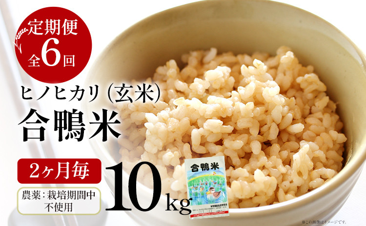 
令和6年産 予約 合鴨米「ヒノヒカリ」（玄米・10kg）定期便6回コース 数量限定 ※令和6年10月中旬スタートの定期便 BI05
