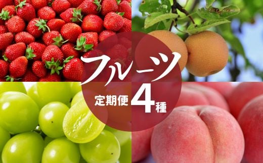 No.2825フルーツ４種定期便【2025年発送　先行予約】