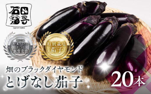 ≪先行予約≫とげなし茄子 20本  ナス 茄子 なす なすび 野菜 旬 旬の野菜 糖度 石田茄子 トゲなし　とげなし お取り寄せ 健康 夕飯 おかず 愛知県 豊橋市