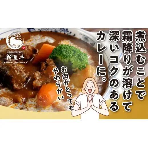 石垣島産 黒毛和牛 新里牛 　煮込み用贅沢角切り（500g×1） 500g カレー シチュー SZ-45