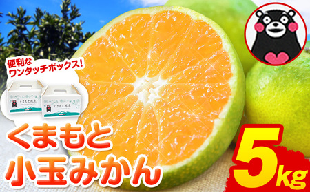 ご家庭用 訳あり くまもと小玉みかん 約5kg(2.5kg×2箱) 熊本県産 S-3Sサイズ 熊本県産 期間限定 フルーツ 秋 旬 柑橘 小玉 みかん 長洲町《30日以内に順次出荷(土日祝除く)》