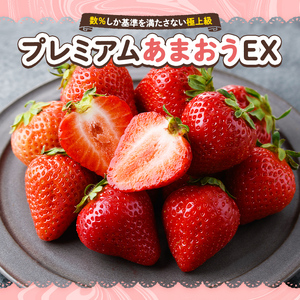 ＜先行予約受付中・数量限定＞2027年2月からお届け！プレミアムあまおうEX 化粧箱入り(約400g) 苺 いちご あまおう イチゴ フルーツ 果物 くだもの 手作り スイーツ ギフト 贈答 数量限定