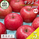 【ふるさと納税】 りんご サンふじ 家庭用 ( 小玉 ) 5kg 永野農園 沖縄県への配送不可 令和6年度収穫分 長野県 飯綱町 〔 信州 果物 フルーツ リンゴ 林檎 長野 予約 農家直送 11000円 〕発送時期：2024年12月中旬～2025年2月上旬