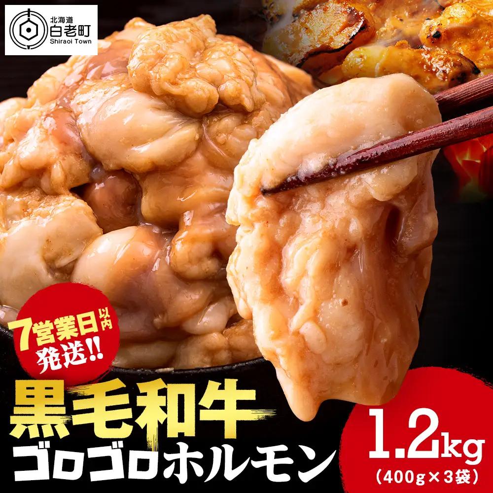 白老産黒毛和牛 味噌焼肉用MIXホルモン 1.2kg (400g×3パック)  7日営業日以内発送 CK011