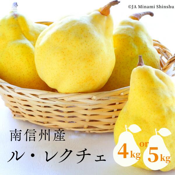 【ふるさと納税】南信州産 洋梨 ル・レクチェ 約4キロ or 約5キロ／11月上旬～12月上旬ごろ配送予定// 長野県 南信州 高糖度 洋梨 ルレクチェ レクチェ 洋ナシ 大玉 西洋梨 贈答 ギフト JA19 JA18