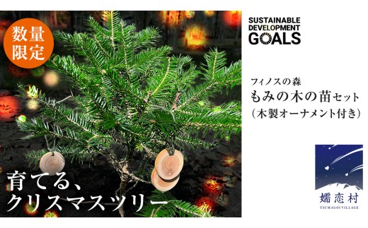 【 12月 発送開始 】クリスマス に最適! フィノスの森 もみの木の苗 セット かわいい カラマツの枝の オーナメント 付き クリスマス クリスマスツリー もみの木 観葉植物 インテリア 日用品 飾り [BI005tu]
