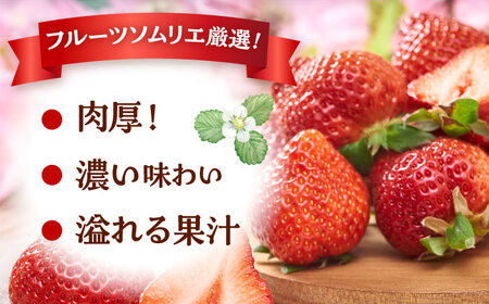 【2026年2月上旬より発送】福岡産【春】あまおう4パック 桂川町/南国フルーツ株式会社[ADBW008]あまおう 博多 福岡