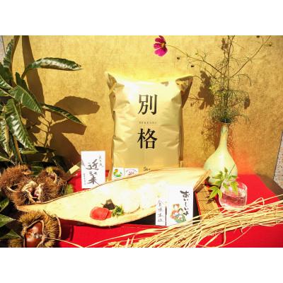 ふるさと納税 高島市 無洗米【食味本位】実生庵の近江米コシヒカリ 5kg×3袋　滋賀県高島市産生産者直送100%#502