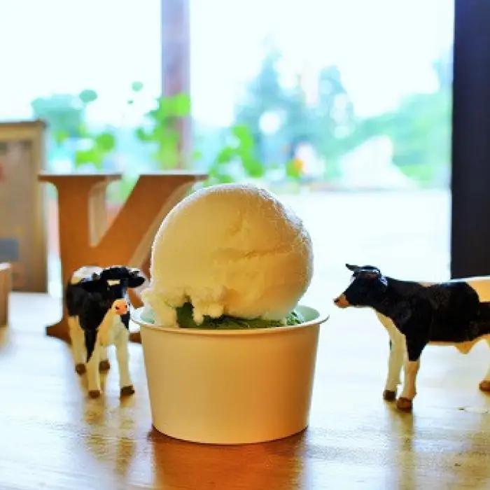 海と山のコラボアイスセット（12個）【 アイスクリーム 食べ比べ カップアイス 12個入 ミルク キャラメル セット 詰め合わせ 贈り物 贈答 プレゼント 人気 アイス あいすくりーむ 手作り フレッ