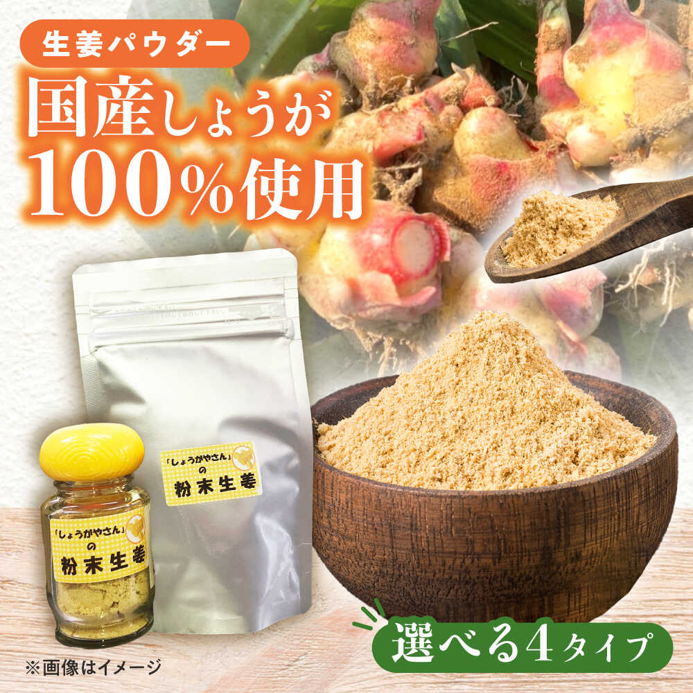 【ふるさと納税】＼選べる内容量／ 国産 生姜パウダー セット 調味料 愛知県産 しょうが 愛西市 / しょうがやさん [AEAO004]
