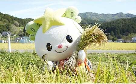 【先行予約】 令和7年産 新米 たかたのゆめ 玄米 10kg まーちゃんファーム 【 オリジナル ブランド米 冷めてもおいしい お弁当 おにぎり ギフト 】10月下旬頃より順次発送予定 RT2608