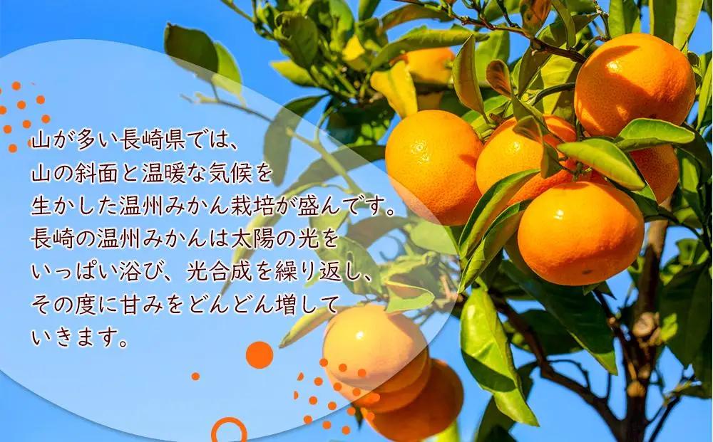 みかんジュース 100％ 200ml×18本 計3.6L ストレートみかん 長崎＜長崎県産みかん果汁100％＞