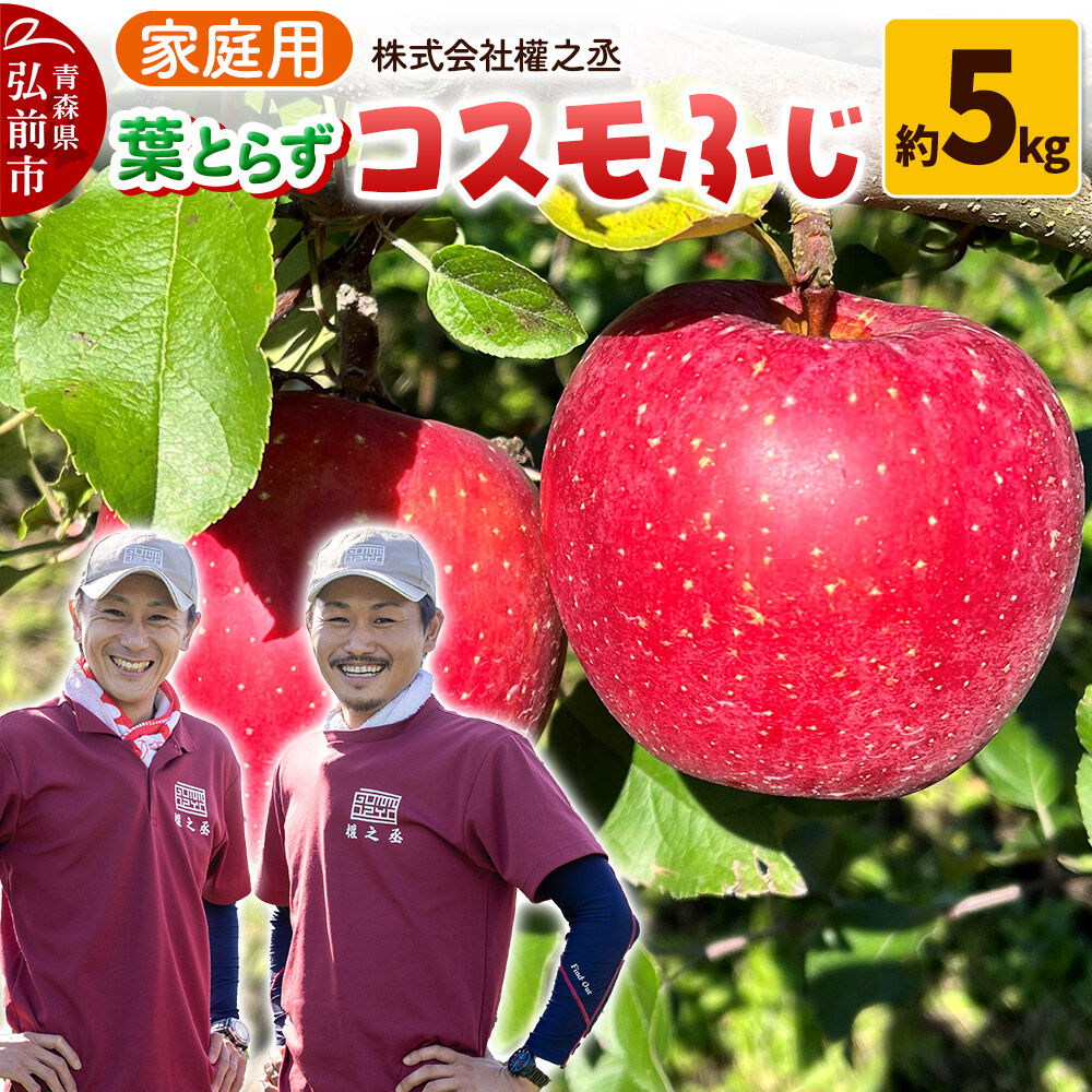 【ふるさと納税】【26年11月下旬〜発送】りんご コスモふじ【家庭用】約5kg 權之丞 葉とらずりんご 青森りんご 先行受付 青森県 弘前市 果物 フルーツ 林檎 リンゴ くだもの 不揃い 規格外 [先行予約 産地直送 弘前市産 アップル おいしい]