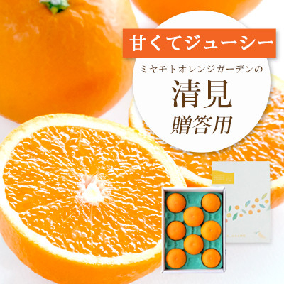 
            ＜2025年4月上旬出荷＞果汁たっぷり ジューシー清見 贈答BOX入り＜E25-100＞_ みかん ミカン 柑橘 フルーツ ふるーつ 果物 くだもの 青果 清見 きよみ 甘い ジューシー 愛媛 希少 産直 産地直送 箱入り 【1360103】
          