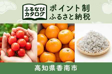 【有効期限なし！後からゆっくり特産品を選べる】高知県香南市カタログポイント