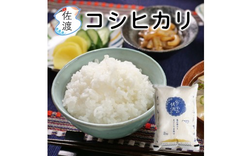 佐渡島産コシヒカリ 白米4kg（2kg×2袋） 農薬・化学肥料5割減【食の宝島佐渡】