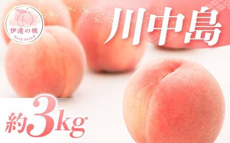 【2026年出荷分先行予約】福島県産 特秀 川中島白桃 約3kg (9～12玉) ふくしま未来農業協同組合 特秀 透過式光センサー選別 白桃 大玉 伊達の桃 桃 フルーツ 果物 もも モモ momo F20C-778
