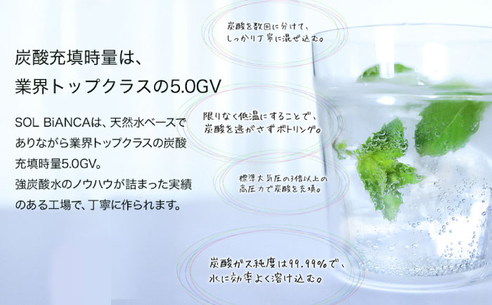 炭酸水 たんさんすい 水 飲料水 みず シリカ 定期便 単品