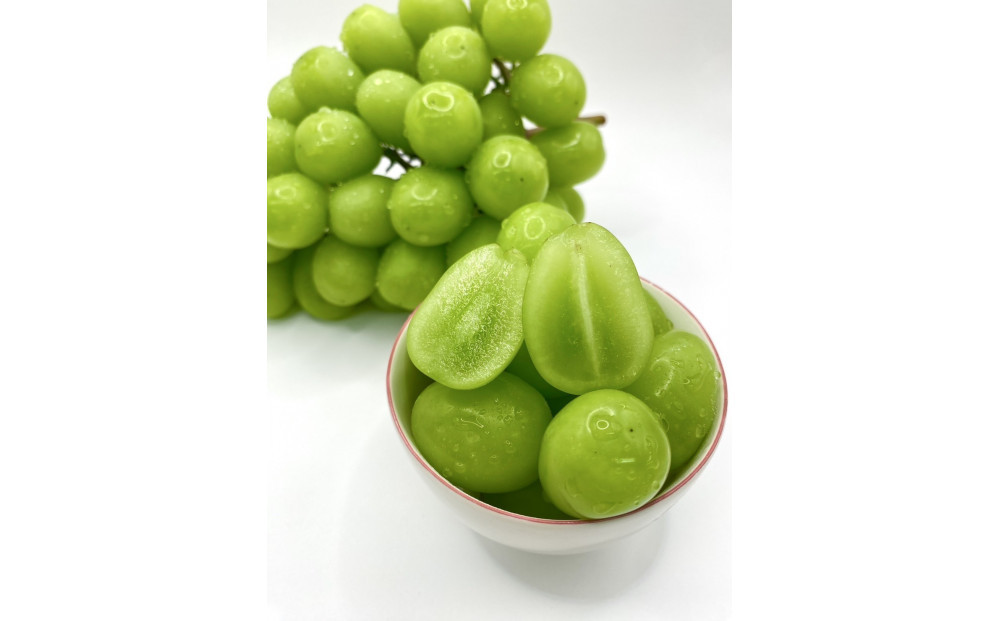 【先行予約2026年8月頃発送】大府市産　シャインマスカット800g（1房入り） 232238_CT003