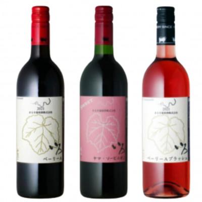 ふるさと納税 甲州市 まるき【いろシリーズ】計3本いろベーリーAいろヤマ・ソービニオンいろベーリーAブラッシュC-1659