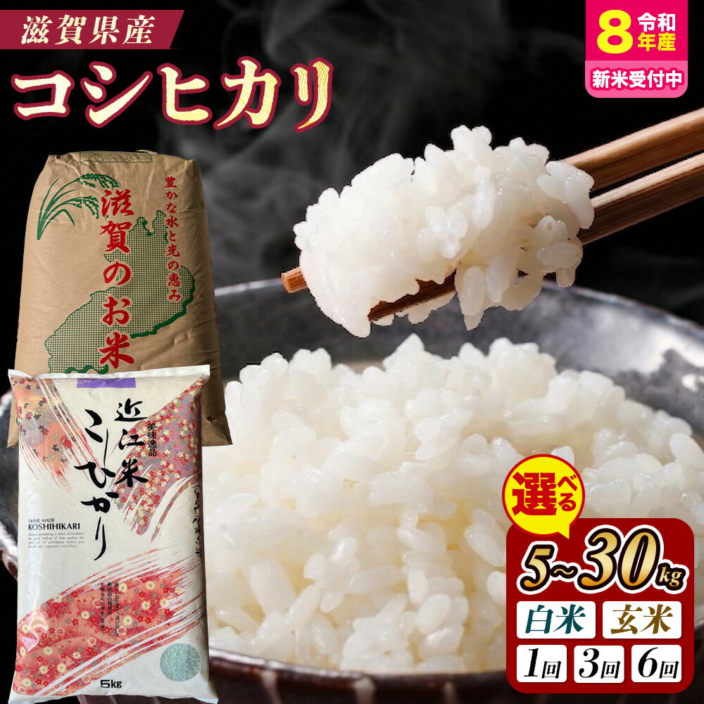 【ふるさと納税】＼選べる産年・内容量・配送回数／【令和7年産】【令和8年産 新米 先行予約】近江米 コシヒカリ（精米・玄米）米 定期便 5~30kg 1回 3回 6回 産地直送 こしひかり【お中元】