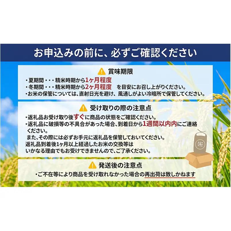米 12kg 3ヵ月 特A 無洗米 12キロ 米 ななつぼし 定期便 北海道
