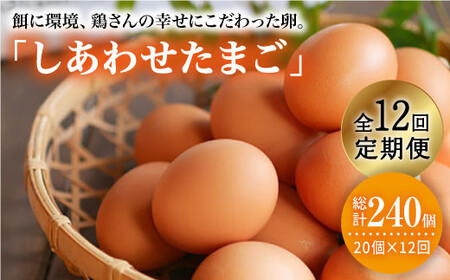 【12回定期便】 平飼い しあわせ たまご 40個＜松本養鶏場＞ [CCD031] 卵