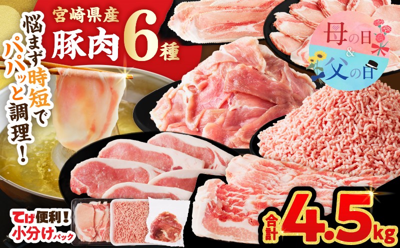 
                  【選べる発送時期】≪宮崎県産≫豚肉6種＼てげスゲーセット／合計4.5kg 母の日 父の日 肉 豚 豚肉 おかず 国産_T009-0325-o
                