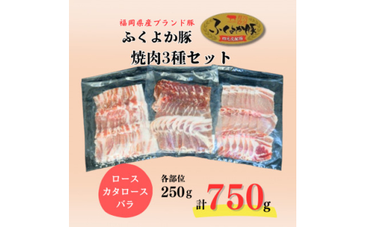 ふくよか豚焼肉3種セット750g(ロース・カタロース・バラ各250g)【1566244】