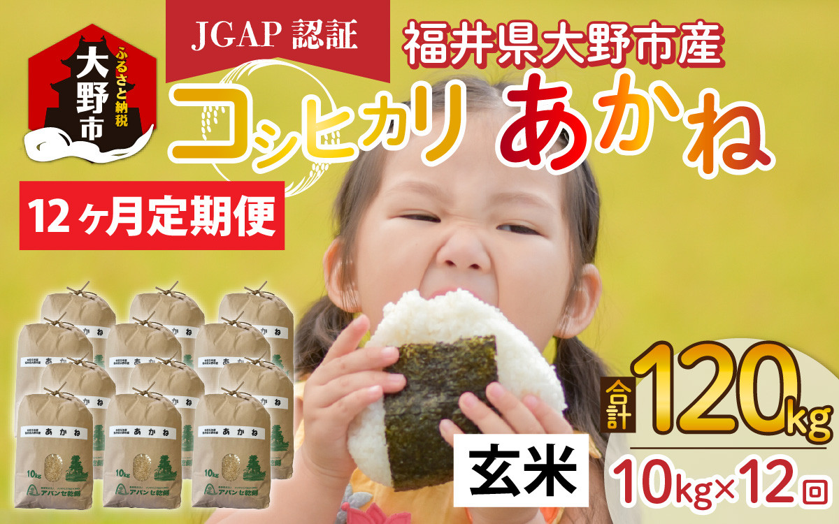 
            【先行予約】【令和7年産 新米】【12ヶ月定期便】福井県大野市産 JGAP認証 コシヒカリ「あかね」（玄米）10kg×12回　計120kg
          
