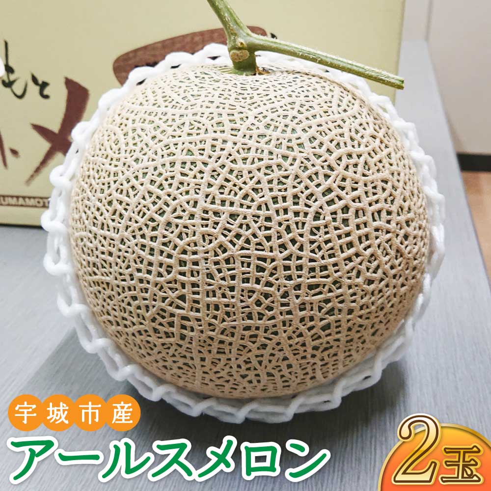 【ふるさと納税】 メロン アールスメロン 2玉 ※1玉当たり 1.3kg〜2kg メロン 2個 冷蔵 熊本県産 国産 送料無料 フレッシュダイレクト【2026年6月上旬〜7月下旬頃発送予定】