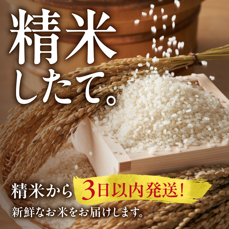 【8月配送】うりゅう米ななつぼし無洗米10kg（5kg×2袋）