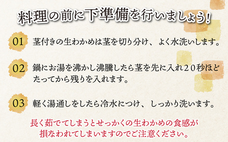 【とれたて！！】厳選生わかめ1.0kg／ 新鮮 お造り 刺身 晩酌 食卓 BBQ [A-018001]