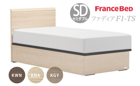 フランスベッド ファディア FAD-F1 TS（縦跳ね上げ収納260mm） 【 マットレスつき 】 M セミダブル U-95
