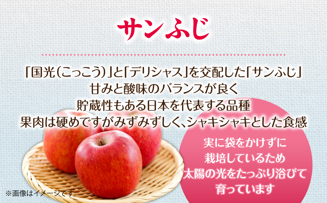 【先行予約】＜2026年12月上旬よりお届け＞北海道壮瞥町　訳ありりんご　品種名「サンふじ」約10kg SBTF030