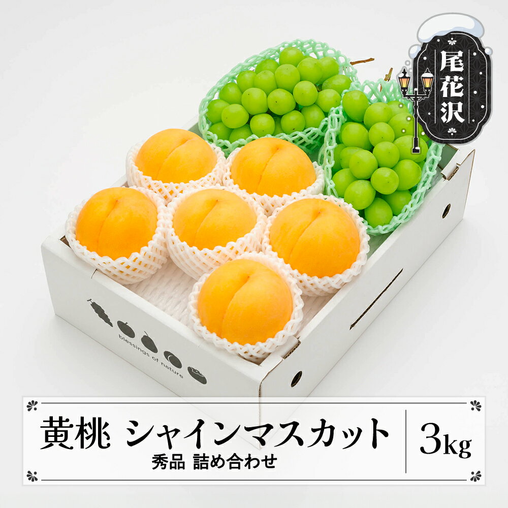 【ふるさと納税】先行予約 有袋黄桃 シャインマスカット 秀品 詰め合わせ 品種おまかせ 3kg 2025年産 令和7年産 山形県産 もも ぶどう 果物 フルーツ 送料無料 ns-fsosx3※沖縄・離島への配送不可