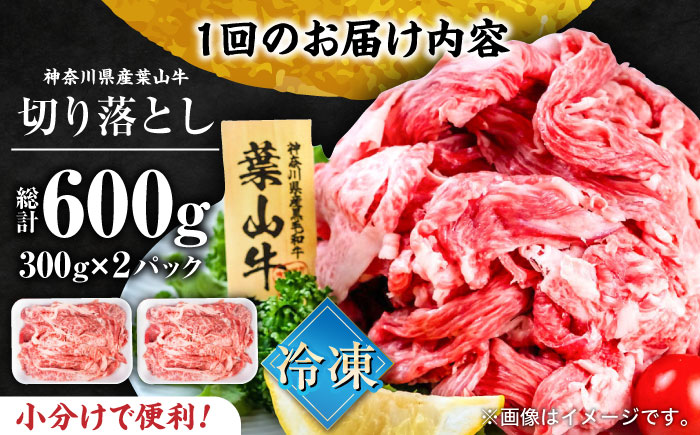【全6回定期便】葉山牛 切り落とし300g×2パック 計600g【株式会社羽根】 [AKAG028]