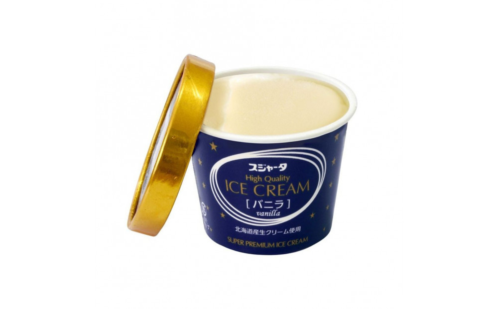 アイス 11個 詰め合わせ【チョコ入り】 シンカンセンスゴイカタイアイス 詰合せ