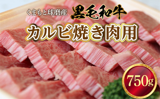 
                  くまもと球磨産　黒毛和牛(カルビ焼き肉用　750g)
                