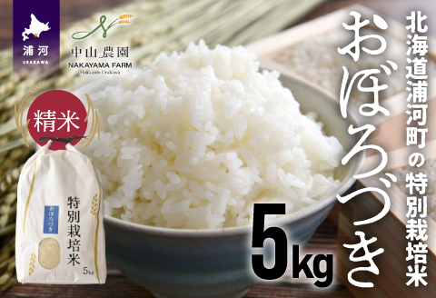 【新米発送！】北海道浦河町の特別栽培米「おぼろづき」精米(5kg×1袋)[37-1132]