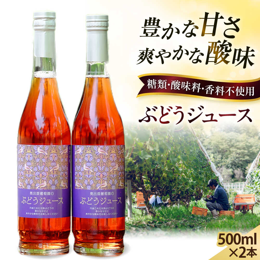 【ふるさと納税】奥出雲葡萄園 ぶどうジュース2本セット 国産 ジュース セット 島根県雲南市/有限会社奥出雲葡萄園[AICS032] ブラックオリンピア 山ぶどう ブレンド 無添加 ジュース ぶどう ブドウ 葡萄 こだわり ワイナリー 500ml 2本 贈り物 人気 おすすめ