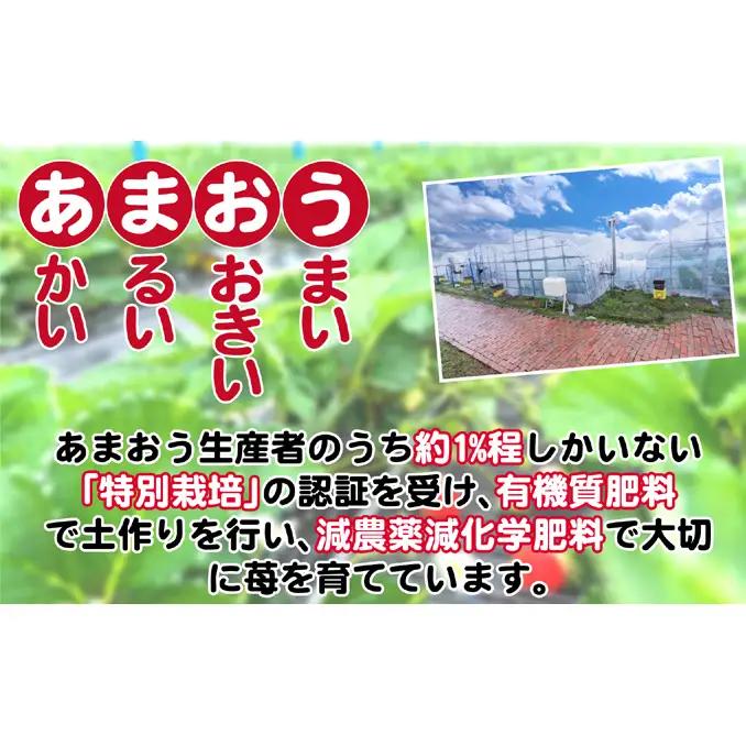 うるう農園のあまおう スタンダード 4パック 約1kg（約250g×4）