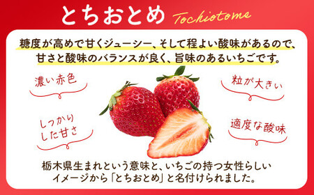 とちおとめ 320g×2パック 3Lサイズ ｜ いちご 苺 イチゴ 贈答 フルーツ 果物 国産 平積み　※2026年1月中旬頃より順次発送予定